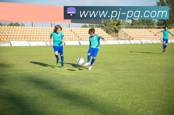 pg电子服务体系